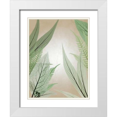 Jungle Cruise White Modern Wood Framed Art Print with Double Matting by Koetsier, Albert
