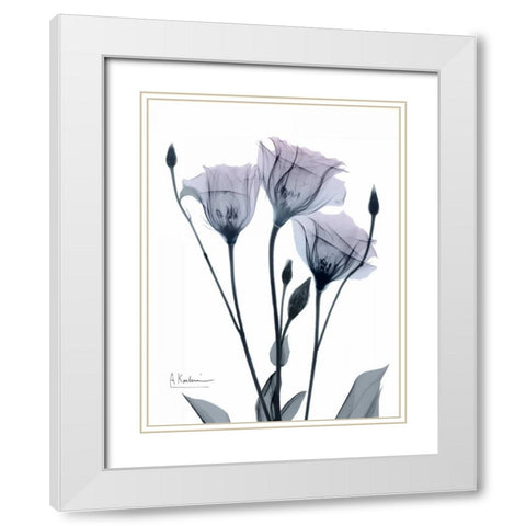 Midnight Gentian 1 White Modern Wood Framed Art Print with Double Matting by Koetsier, Albert