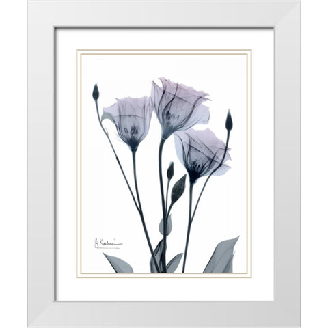 Midnight Gentian 1 White Modern Wood Framed Art Print with Double Matting by Koetsier, Albert