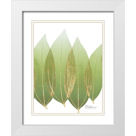 Golden Coculus White Modern Wood Framed Art Print with Double Matting by Koetsier, Albert