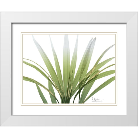 Golden Palm White Modern Wood Framed Art Print with Double Matting by Koetsier, Albert