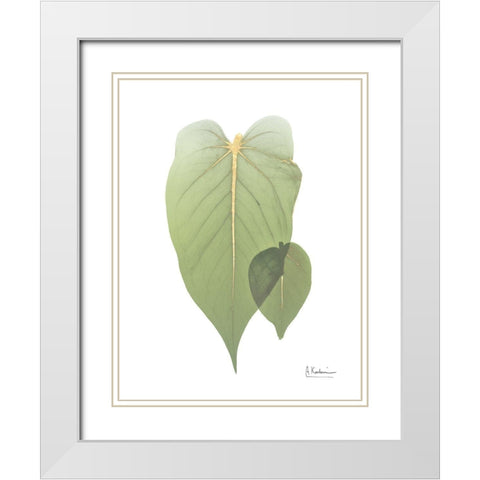 Golden Philodendron 2 White Modern Wood Framed Art Print with Double Matting by Koetsier, Albert