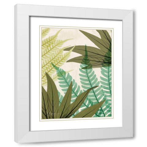 Mesozoic Travels 2 White Modern Wood Framed Art Print with Double Matting by Koetsier, Albert