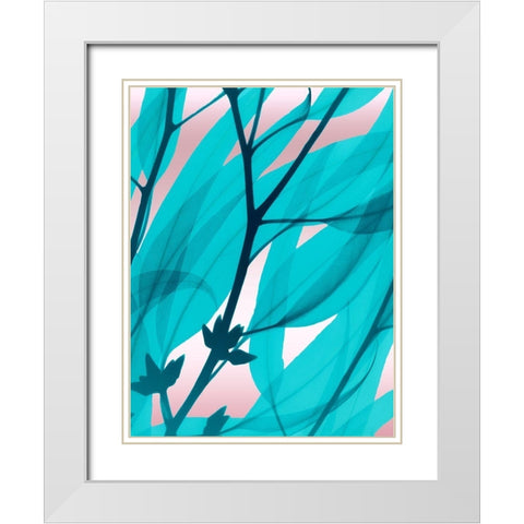 Eucalyptus Cotton Candy White Modern Wood Framed Art Print with Double Matting by Koetsier, Albert