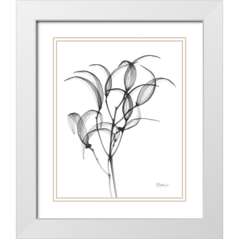 Nightly Oleander Bush White Modern Wood Framed Art Print with Double Matting by Koetsier, Albert