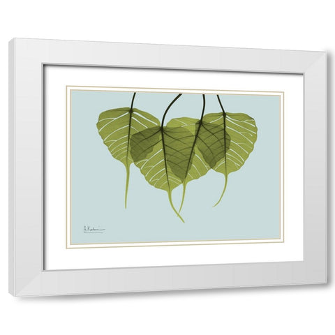 Bodhi Tree Quartet White Modern Wood Framed Art Print with Double Matting by Koetsier, Albert