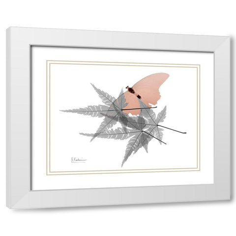 Hidden Flight 1 White Modern Wood Framed Art Print with Double Matting by Koetsier, Albert