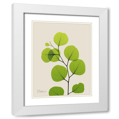 Natural Greenery 3 White Modern Wood Framed Art Print with Double Matting by Koetsier, Albert