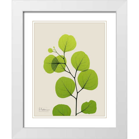 Natural Greenery 3 White Modern Wood Framed Art Print with Double Matting by Koetsier, Albert