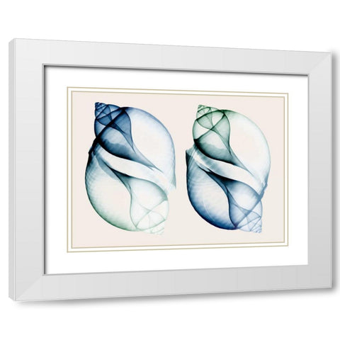 Split Breeze 1 White Modern Wood Framed Art Print with Double Matting by Koetsier, Albert