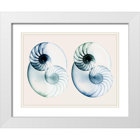 Split Breeze 2 White Modern Wood Framed Art Print with Double Matting by Koetsier, Albert