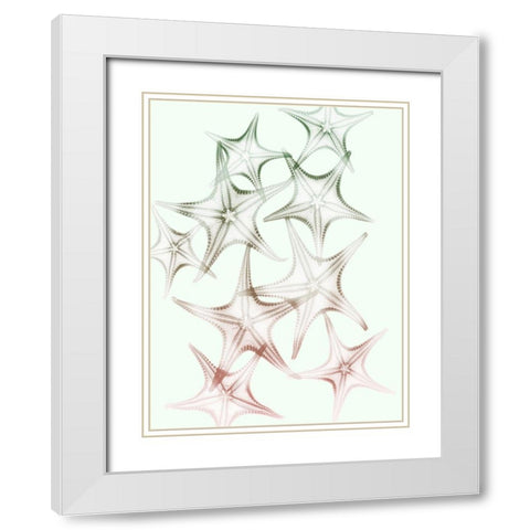 Sweet Starfish 2 White Modern Wood Framed Art Print with Double Matting by Koetsier, Albert