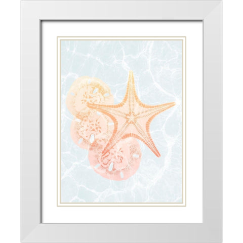 Starfish Shine 2 White Modern Wood Framed Art Print with Double Matting by Koetsier, Albert