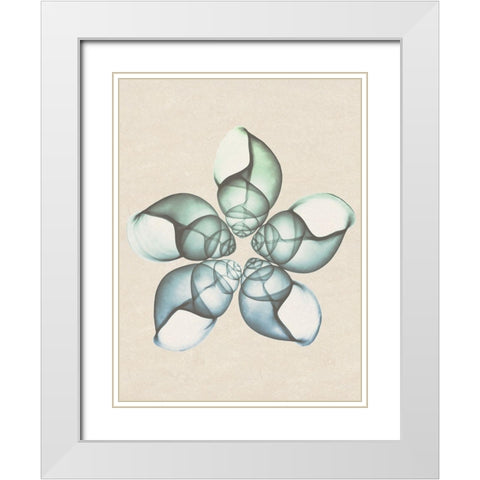 Daybreak Star 2 White Modern Wood Framed Art Print with Double Matting by Koetsier, Albert