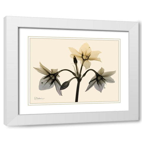 Neutral Trio 1 White Modern Wood Framed Art Print with Double Matting by Koetsier, Albert