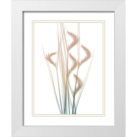 Neutral Dawn 1 White Modern Wood Framed Art Print with Double Matting by Koetsier, Albert