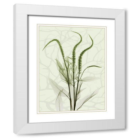 Toned Greens 2 White Modern Wood Framed Art Print with Double Matting by Koetsier, Albert