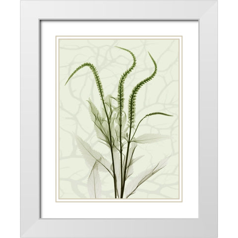 Toned Greens 2 White Modern Wood Framed Art Print with Double Matting by Koetsier, Albert