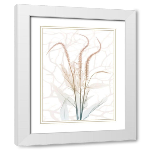 Toned Dawn 4 White Modern Wood Framed Art Print with Double Matting by Koetsier, Albert