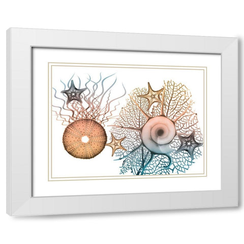 Sea Collective 1 White Modern Wood Framed Art Print with Double Matting by Koetsier, Albert
