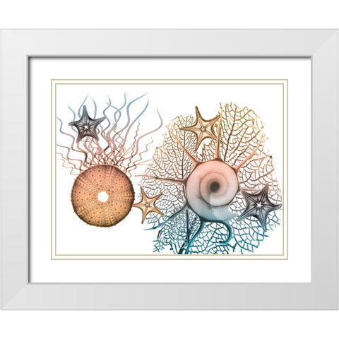 Sea Collective 1 White Modern Wood Framed Art Print with Double Matting by Koetsier, Albert