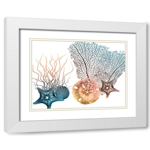 Sea Collective 3 White Modern Wood Framed Art Print with Double Matting by Koetsier, Albert