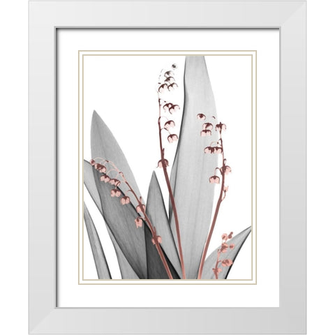 Lily of the Blush 1 White Modern Wood Framed Art Print with Double Matting by Koetsier, Albert