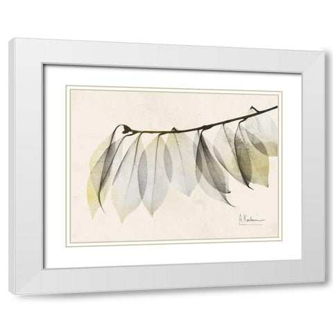 Sunkissed Camelia Leaf White Modern Wood Framed Art Print with Double Matting by Koetsier, Albert