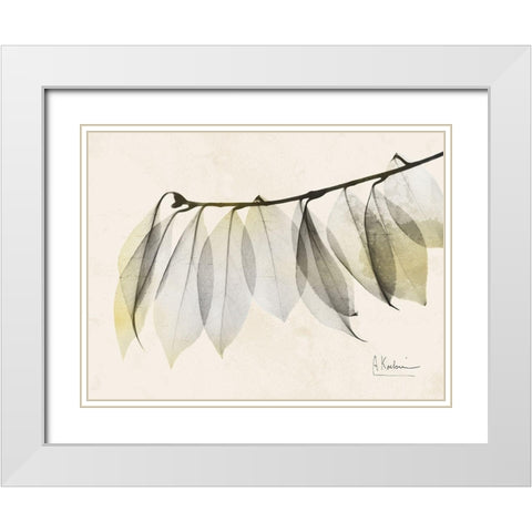 Sunkissed Camelia Leaf White Modern Wood Framed Art Print with Double Matting by Koetsier, Albert