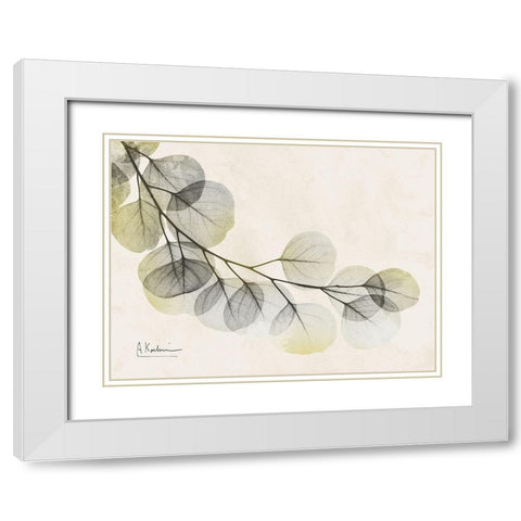 Sunkissed Eucalyptus White Modern Wood Framed Art Print with Double Matting by Koetsier, Albert