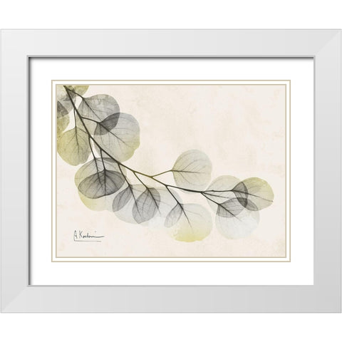 Sunkissed Eucalyptus White Modern Wood Framed Art Print with Double Matting by Koetsier, Albert