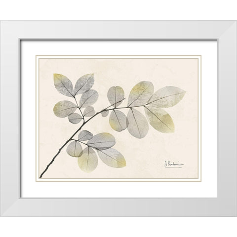 Sunkissed Desire 1 White Modern Wood Framed Art Print with Double Matting by Koetsier, Albert