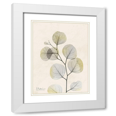 Sunkissed Eucalyptus 3 White Modern Wood Framed Art Print with Double Matting by Koetsier, Albert