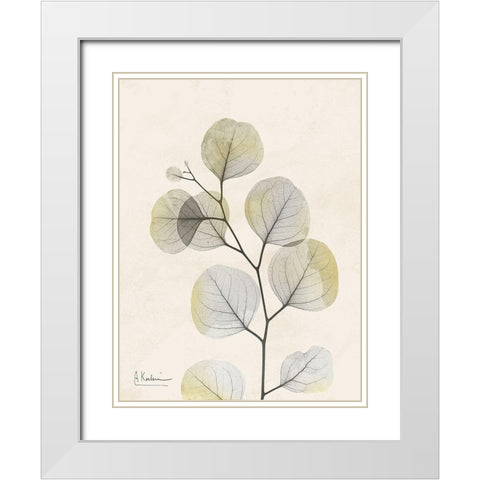 Sunkissed Eucalyptus 3 White Modern Wood Framed Art Print with Double Matting by Koetsier, Albert