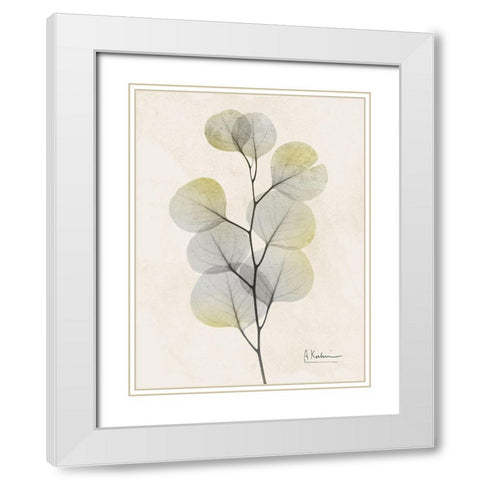 Sunkissed Eucalyptus 4 White Modern Wood Framed Art Print with Double Matting by Koetsier, Albert