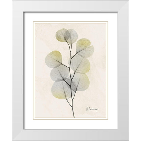 Sunkissed Eucalyptus 4 White Modern Wood Framed Art Print with Double Matting by Koetsier, Albert