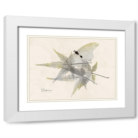 Sunny Flight White Modern Wood Framed Art Print with Double Matting by Koetsier, Albert