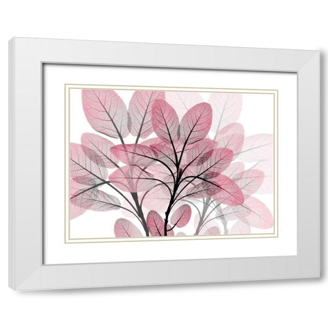 Magenta Embrace 1 White Modern Wood Framed Art Print with Double Matting by Koetsier, Albert