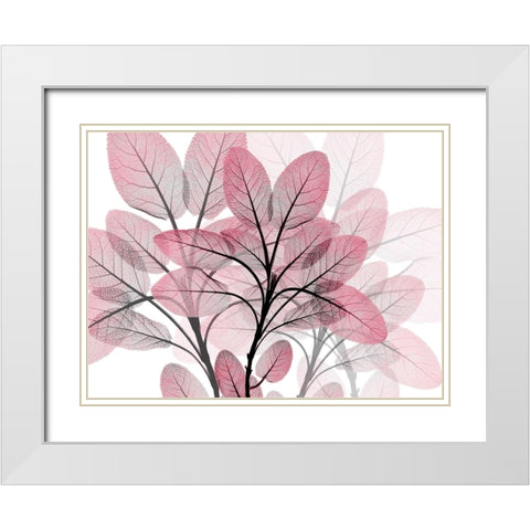 Magenta Embrace 1 White Modern Wood Framed Art Print with Double Matting by Koetsier, Albert