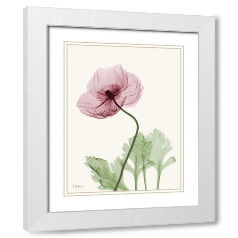 Dazzling Poppy 2 White Modern Wood Framed Art Print with Double Matting by Koetsier, Albert