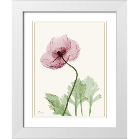 Dazzling Poppy 2 White Modern Wood Framed Art Print with Double Matting by Koetsier, Albert