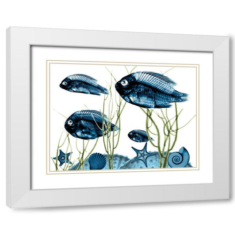 Aquatic Home 2 White Modern Wood Framed Art Print with Double Matting by Koetsier, Albert