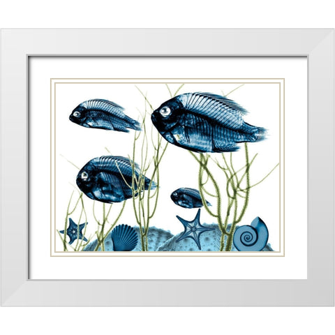 Aquatic Home 2 White Modern Wood Framed Art Print with Double Matting by Koetsier, Albert