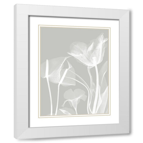 Gray Flora 1 White Modern Wood Framed Art Print with Double Matting by Koetsier, Albert