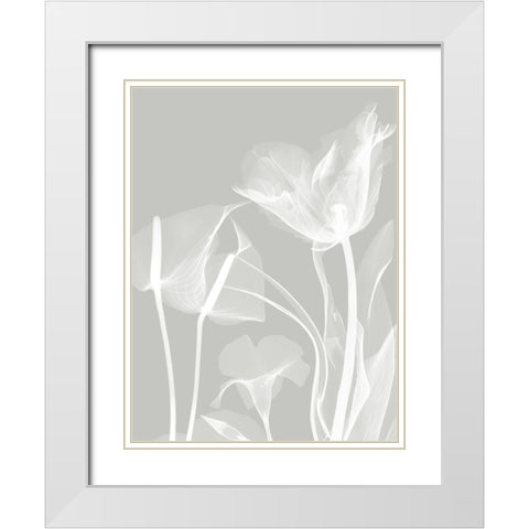 Gray Flora 1 White Modern Wood Framed Art Print with Double Matting by Koetsier, Albert