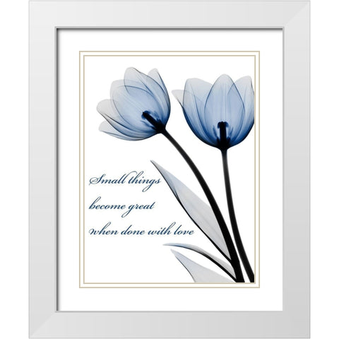 Small Things White Modern Wood Framed Art Print with Double Matting by Koetsier, Albert