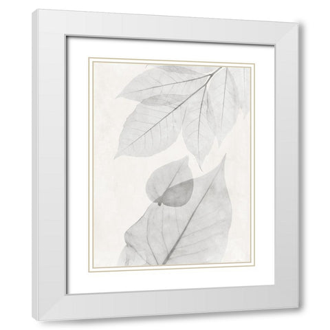 Distilled Botanicals 2 White Modern Wood Framed Art Print with Double Matting by Koetsier, Albert