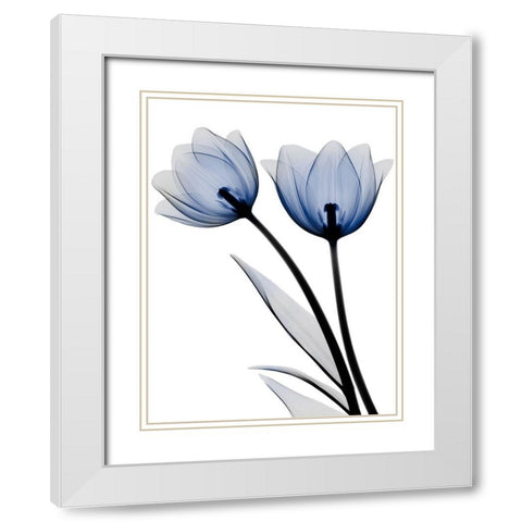 Smaller Things White Modern Wood Framed Art Print with Double Matting by Koetsier, Albert