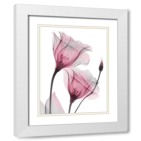 Great Lovers White Modern Wood Framed Art Print with Double Matting by Koetsier, Albert