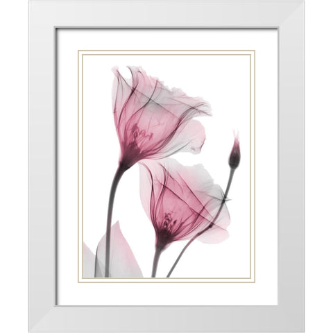 Great Lovers White Modern Wood Framed Art Print with Double Matting by Koetsier, Albert